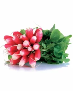 Radis botte sans feuille (300g)