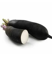 Radis long noir
