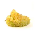 Raisin blanc exalta sans pépin