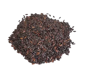Riz noir Nérone