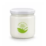 Skyr nature