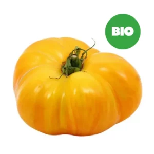 Tomates côtelées jaune