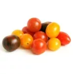 Tomates cerises rouges et jaunes