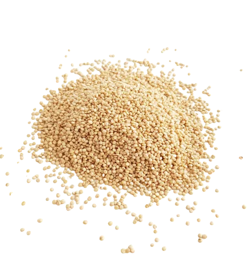 Quinoa blond vrac