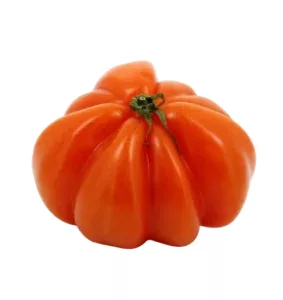 Tomates aumonières (à farcier)