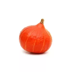 Potimarron