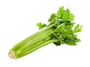 Céleri branche (450g env.)